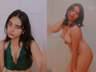 hot indian girlfriend nude with beautiful boobs